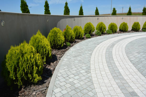 Best Paver Driveway Replacement  in Ridgefield, WA